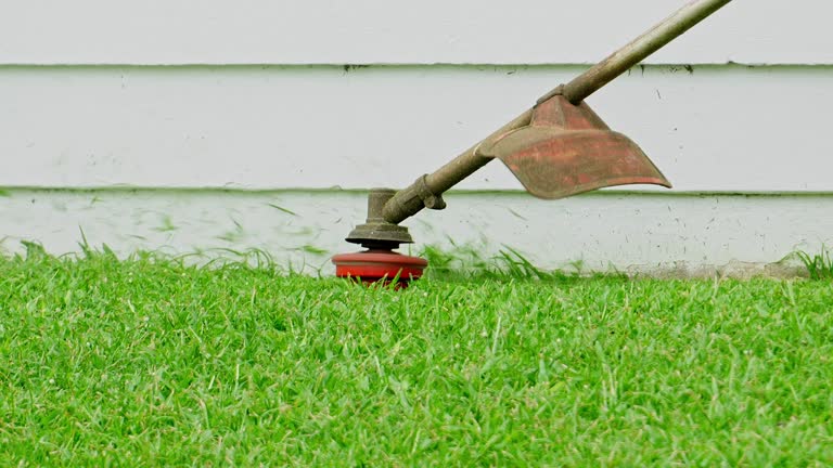Best Tree Preservation Services  in Paintsville, KY